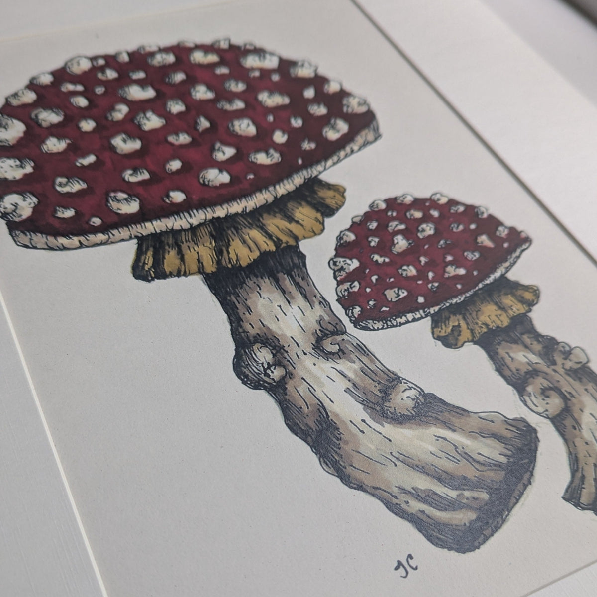 Fly Agaric Mounted Print