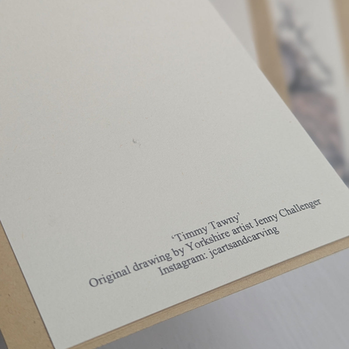 Timmy Tawny Owl Greeting Card