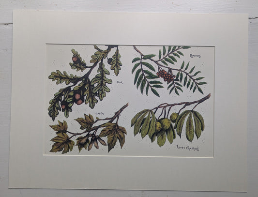 Tree Branches Mounted Print