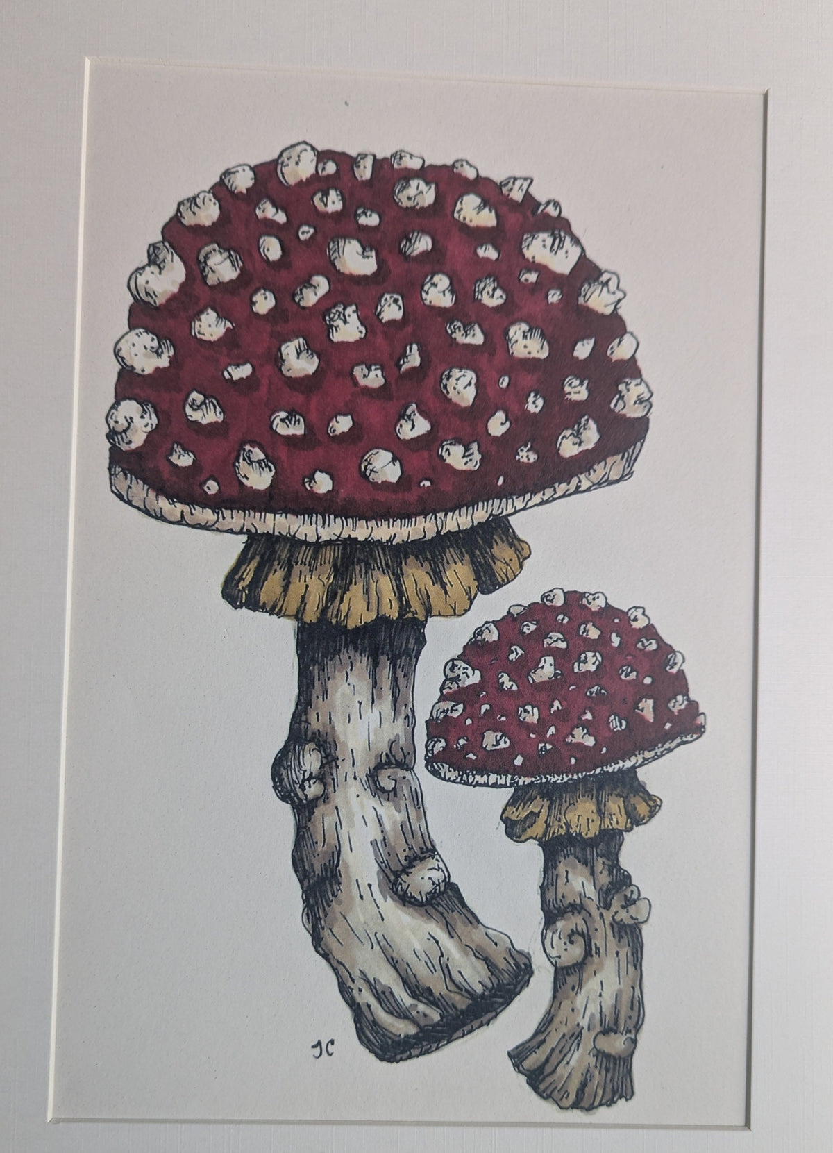 Fly Agaric Mounted Print