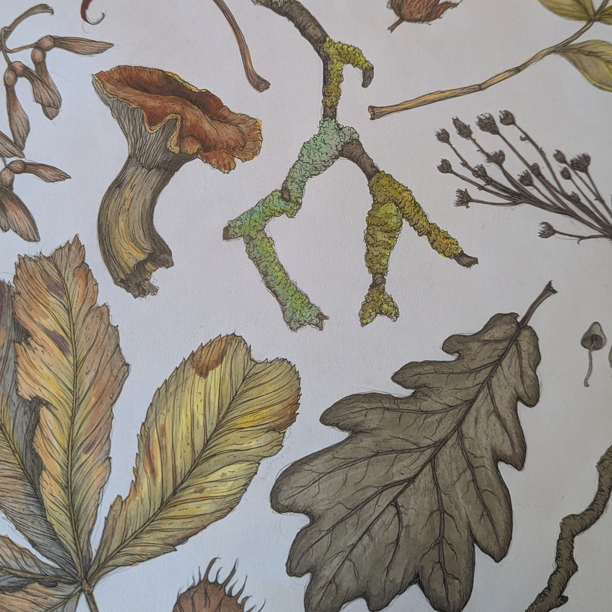Colours Of Autumn Print